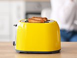 The bizarre items that Britons take on holiday, including kettles, oven trays and TOASTERS