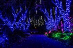 Walk Through A Winter Wonderland Of Ice This Holiday Season At The Winter Walk Of Lights In Virginia
